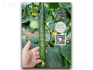 � �Ԫ3̖-�ܴ��S�ϷN��-�¸ɾ�