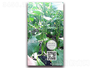 δ����̖-�S�ϷN��-�¸ɾ�