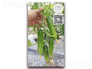 δ����̖-�S�ϷN��-�¸ɾ�