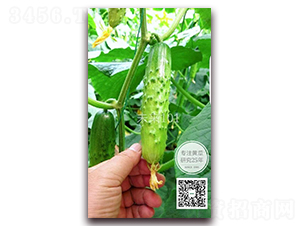 δ��101-�S�ϷN��-�¸ɾ�