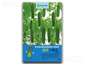 ����С�S��-�S�ϷN��-���߷N�I(y��)