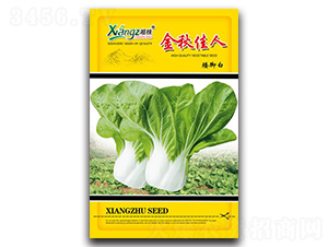 �������-��˷N��-���߷N�I(y��)