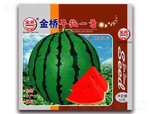 金橋早抗一號(hào)-西瓜種子-金橋種業(yè)