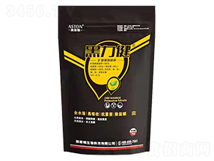 �������VԴ�S�����-�W˹�D