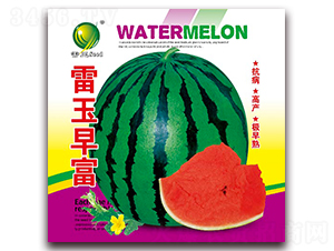 �����縻-���ϷN��-����N�I(y��)