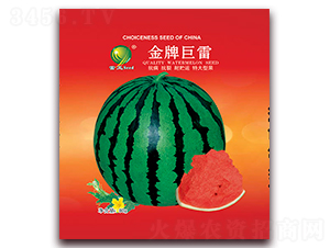 ���ƾ���-���ϷN��-����N�I(y��)