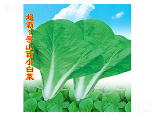 ����1̖(h��o)ɽ��С�ײ�-С�ײ˷N��-�f(w��n)�r(n��ng)�߿�