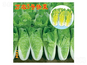 �f(w��n)�r(n��ng)5̖(h��o)���-��˷N��-�f(w��n)�r(n��ng)�߿�