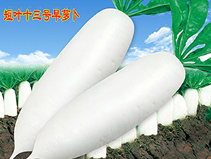 ���~ʮ��̖(h��o)���}��-�}���N��-�f�r(n��ng)�߿�