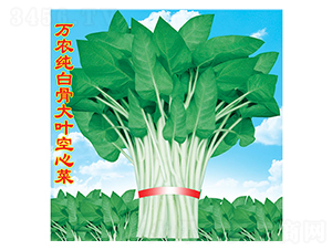 �f(w��n)�r(n��ng)���׹Ǵ��~���Ĳ�-���Ĳ˷N��-�f(w��n)�r(n��ng)�߿�