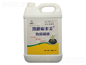 �����Һ-�Pҫ������-�Pҫ����