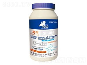 ����Ԫ��ˮ�ܷ���-��⛻�����(d��ng)��-ʷ����