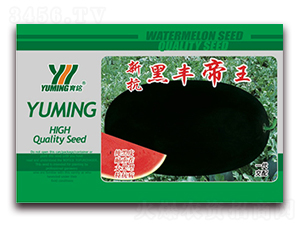 新抗黑豐帝王-西瓜種子-三優(yōu)高科