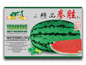 精品拳勝-西瓜種子-三優(yōu)高科