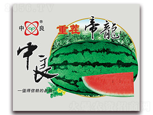 重茬帝龍-西瓜種子-三優(yōu)高科
