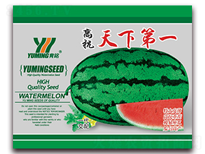 高抗天下第一-西瓜種子-三優(yōu)高科