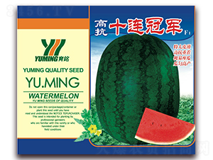 高抗十連冠軍-西瓜種子-三優(yōu)高科
