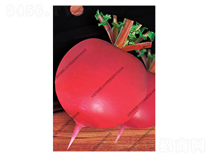 ��t�}��-�}���N��-ˮ���I