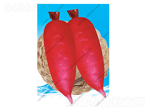 ���}��-�}���N��-ˮ���I