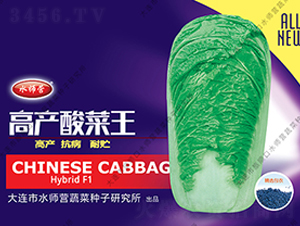 �߮a(ch��n)�����-�ײ˷N��-ˮ���I(y��ng)