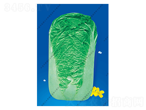 ˮ���I(y��ng)15̖(h��o)-�ײ˷N��-ˮ���I(y��ng)