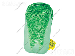 ˮ���I(y��ng)�ޟo(w��)��-�ײ˷N��-ˮ���I(y��ng)