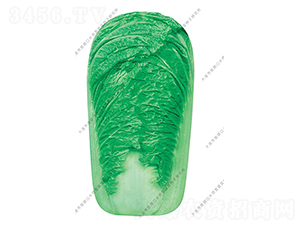 ��Gһ̖(h��o)-�ײ˷N��-ˮ���I(y��ng)