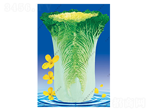 ˮ���I(y��ng)11̖(h��o)-�ײ˷N��-ˮ���I(y��ng)