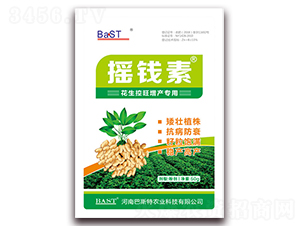 �����������a(ch��n)����-�u�X������ 