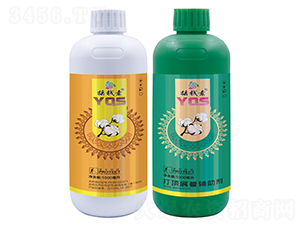 �޻���프�-�u�X(qi��n)������