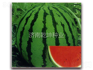 ����816-���ϷN��-Ǭ���N�I(y��)