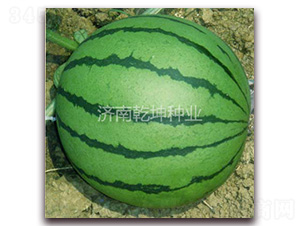 ���x�����¶�̖-���ϷN��-Ǭ���N�I(y��)