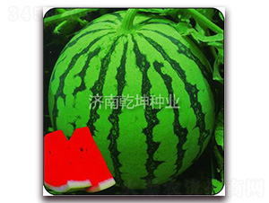 �������-���ϷN��-Ǭ���N�I(y��)