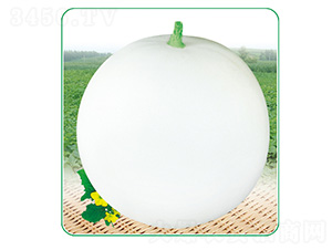 ����2̖(h��o)-��ϷN��-��̩�_(d��)