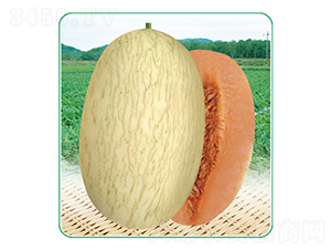 安泰蜜3號-甜瓜種子-安泰達