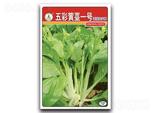 ����Ș1̖(h��o)-��̦�N��-�d�߷N�I(y��)