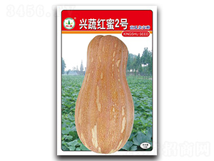 �d�߼t��2̖-�ϹϷN��-�d�߷N�I(y��)