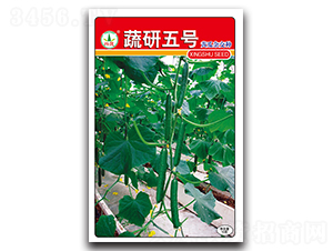 ������̖-�S�ϷN��-�d�߷N�I(y��)