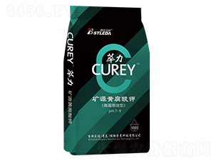 �VԴ�S�����-����-�������_