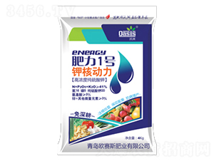 �ߝ�ȼ������-����1̖(h��o)-�Wِ˹