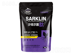 ɳ�ˠ����ĳ���s�ɷ�-�Wِ˹