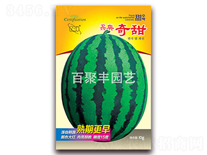 鑫奧奇甜-西瓜種子-百聚豐
