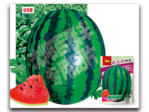 �ޟo(w��)������-���ϷN��-�پ��S