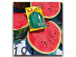 �������-���ϷN��-�پ��S