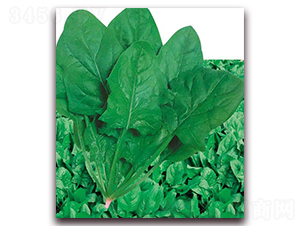 ����(gu��)������������-���˷N��-�A�r(n��ng)�N�I(y��)