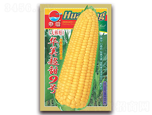 �A�������̖(h��o)-�����׷N��-�A�r(n��ng)�N�I(y��)