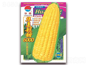 �A������6000-�����׷N��-�A�r(n��ng)�N�I(y��)