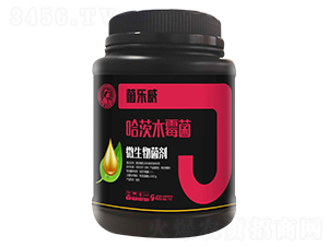 ����ľù��-������-�η�