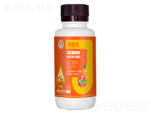 �Ǵ��}-�η�