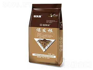 ���l(f��)��-ֲ��-���ֿ�